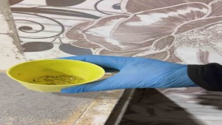 Fırın denetiminde mide bulandıran görüntüler, zabıta böcek çeşitlerini saymakla bitiremedi