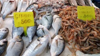 Foça Balık Halinde kış sezonu:Sardalya ve uskumru zamanı