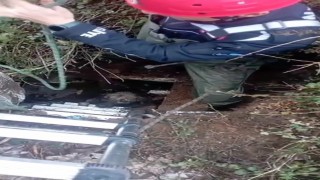 Foseptik çukuruna düşen köpeği itfaiye kurtardı