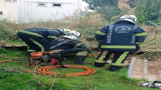 Fosseptik çukuruna düşen köpek kurtarıldı