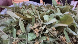 Geçen sene altınla yarışıyordu, bu yıl fiyatı düştü