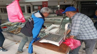 Geliboluda balık satış yerlerinde denetim