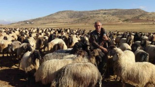 Gercüşte göçerlerin zorlu yolculuğu