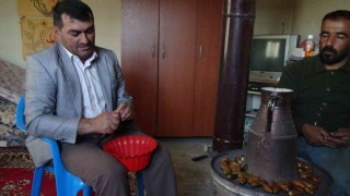 Gercüşün Doğu kestanesi: Organik meşe palamudu kış sofralarının vazgeçilmezi oluyor