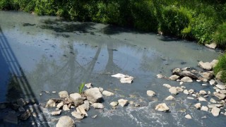 Geredede fabrikaların zehrini kustuğu derenin yeniden davası görülecek