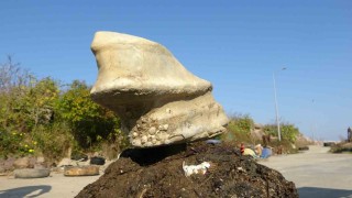 Giresunun Bulancak ilçesinde denizde bulunan cisim balıkçıları şaşırttı