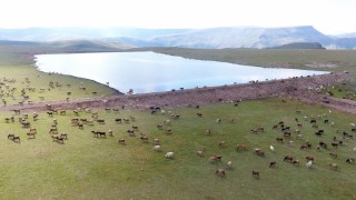 Gölet yapımında Türkiyeye örnek olan şehir: Erzurum