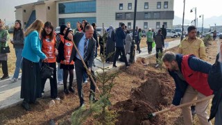 GSİM spor kampüslerine meyve ağacı dikti