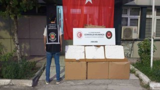 Gümrükler muhafaza ekipleri, değeri 274 milyon TLyi aşan makaron ve makaron üretim malzemesi ele geçirdi