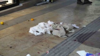 Gümüşhanede boşanma aşamasındaki eşi tarafından bıçaklanan kadın yaralandı