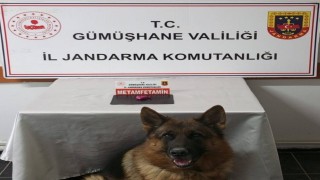 Gümüşhanede uyuşturucu operasyonunda 2 şahıs yakalandı