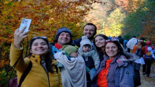 Gümüşhanenin Doğal Ağaç Müzesi ziyaretçi akınına uğruyor