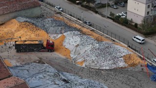 Güvercinler için adeta açık büfe