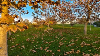 Güzelyurt sonbahar renklerine büründü