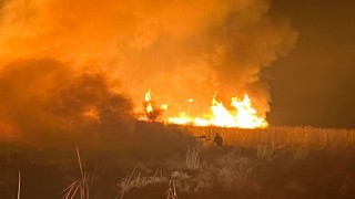 Hakkaride kuş cennetinde yangın