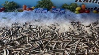 Hamsi fiyatı yüzleri güldürdü, kilosu 60 liraya düştü