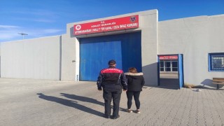 Hapis cezasıyla aranan şahsı jandarma yakaladı