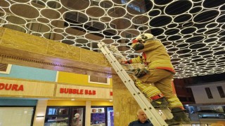 Hatayda duvar boşluğuna sıkışan kedi itfaiye ekiplerince kurtarıldı