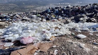 Hatayda kilolarca yoğurt ve peynir ürünü imha edildi