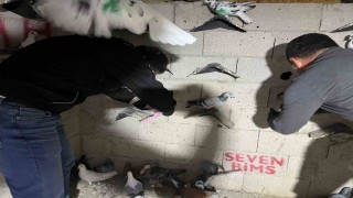 Hatayda kuş kümesinden 2 kilo 500 gram uyuşturucu madde ve para çıktı