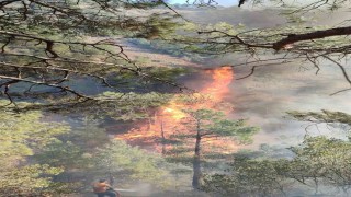 Hatayda orman yangını