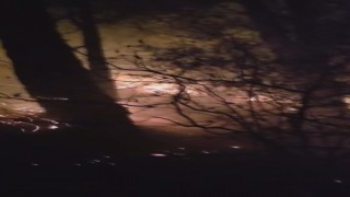 Hatayda yıldırım düşmesiyle çıkan orman yangına müdahale devam ediyor