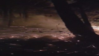 Hatayda yıldırımın düştüğü ormanlık alandaki yangın 16ncı saatte kontrol altına alındı