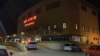 ‘Hayvan otlatma kavgası kanlı bitti: Komşusunu öldürüp intihar etti