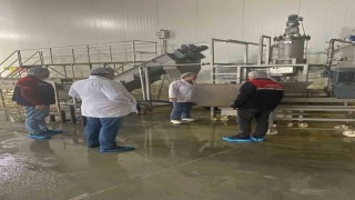 Hayvansal yem üreten işletmeye yönelik denetim