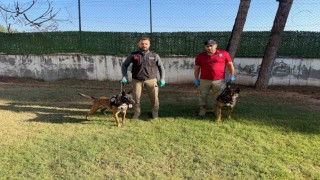 Hector ve Mailo, Batmanda uyuşturucu tacirlerinin korkulu rüyası oldu