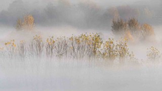 Hevselin sonbahar perdesi: Sisli bahçeler kartpostallık görüntüler oluşturdu