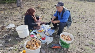 Hisarcıkta yaşlı çiftin mantar mesaisi