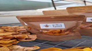 Honazın meşhur cennet hurmasının cips olarak sofralara yolculuğu başladı