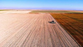Hububat ambarı Konya Ovasında yağışlar yetersiz