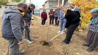 Hüyükte evde sağlık hizmetinden yararlanan yaşlı hastalar adına fidan dikildi