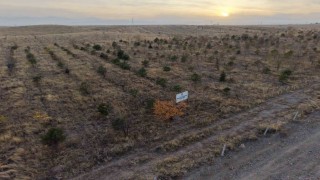 Iğdırda fidanlar toprakla buluştu