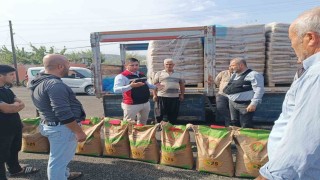 İmamoğlunda yangından etkilenen üreticilere buğday tohumu desteği