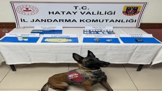 İskenderunda Jandarmadan uyuşturucu operasyonu