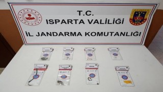 Ispartada jandarmadan uyuşturucu ve tarihi eser operasyonu: 9 kişi yakalandı