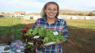İstanbuldan köyüne dönen gıda mühendisi kadın yeşil mirası renklendirdi