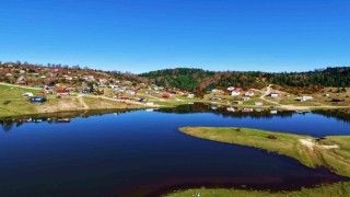 İsviçre değil Sakarya: Sultanpınar Yaylası göz kamaştırıyor