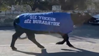 İzmirde mandalı protesto: Okul sahibinden dikkat çeken tepki