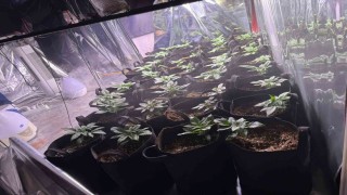 İzmirde uyuşturucu operasyonunda 1 tutuklama