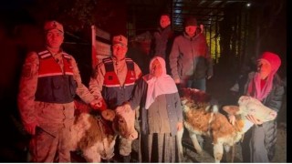 Jandarma çalınan hayvanları sahibine teslim etti