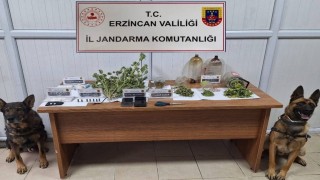 Jandarma Kasım ayı bilançosu: 124 olayın yüzde 93ü aydınlatıldı