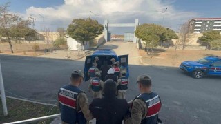 Jandarmadan kaçak kazı operasyonu