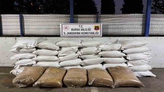 Jandarmadan kaçak sigara operasyonu