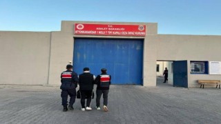 Jandarmadan torbacı operasyonu: 1 kişi tutuklandı