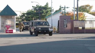 Japonyada ayılarla mücadele çalışmalarına destek için askerler görevlendirildi