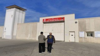 Kaçak hırsızlık şüphelisi yakalandı